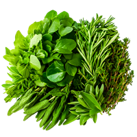 Leafy Vegetables & Herbs