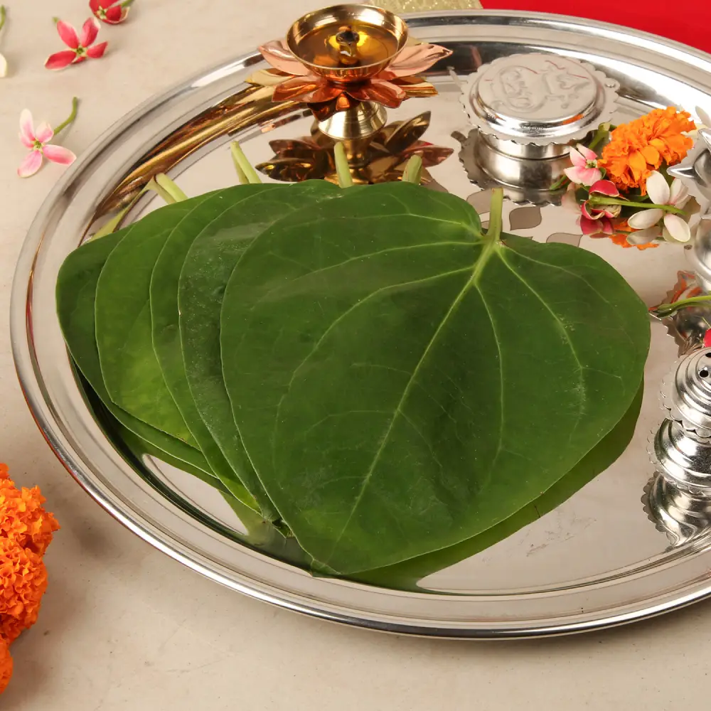 Paan Patta (Betel Leaves)