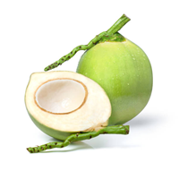 Fresh Coconut