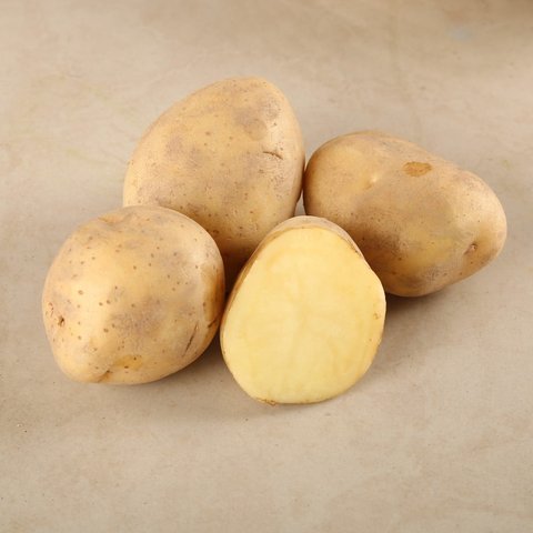 Organically Grown Baby Potato