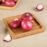 Onion (Pyaz)