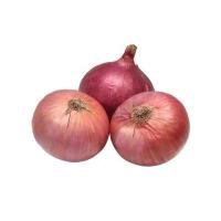 Onion (Pyaz)