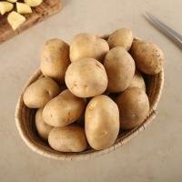 Organically Grown Baby Potato